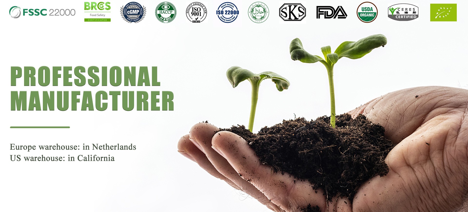 Company's main business