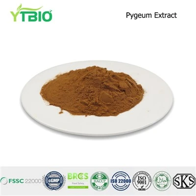 Pygeum Extract Powder